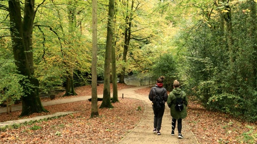 Visitors walking in Chapel Woods in autumn at Quarry Bank, Cheshire